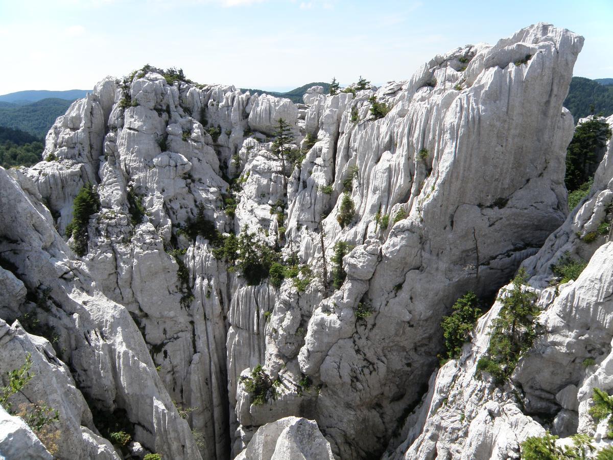 Chalet Calla Mrkopalj Dış mekan fotoğraf