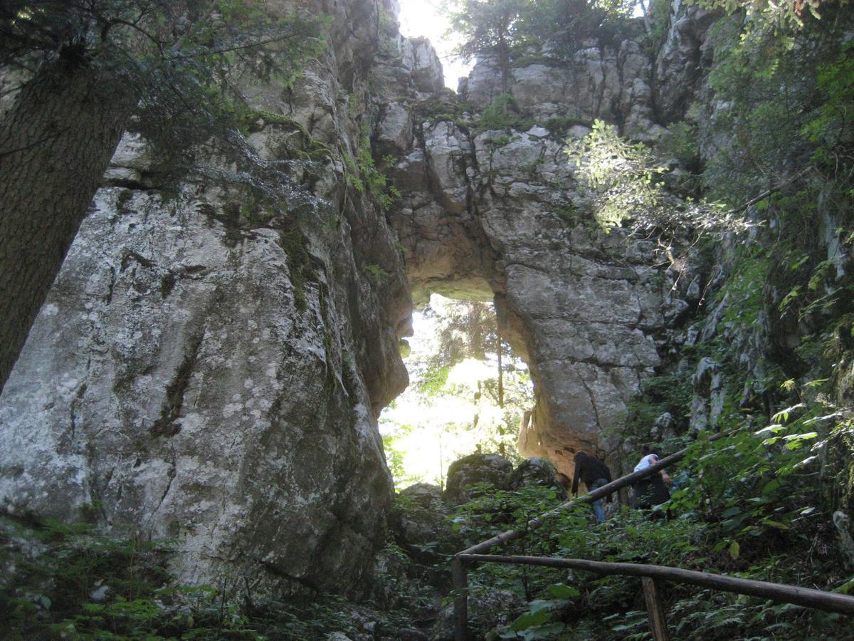 Chalet Calla Mrkopalj Dış mekan fotoğraf
