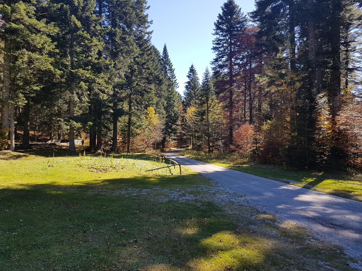 Chalet Calla Mrkopalj Dış mekan fotoğraf